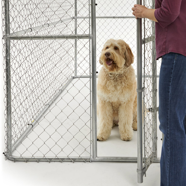 Large kennel deals